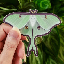 Load image into Gallery viewer, Luna Moth Sticker-TeaToucan
