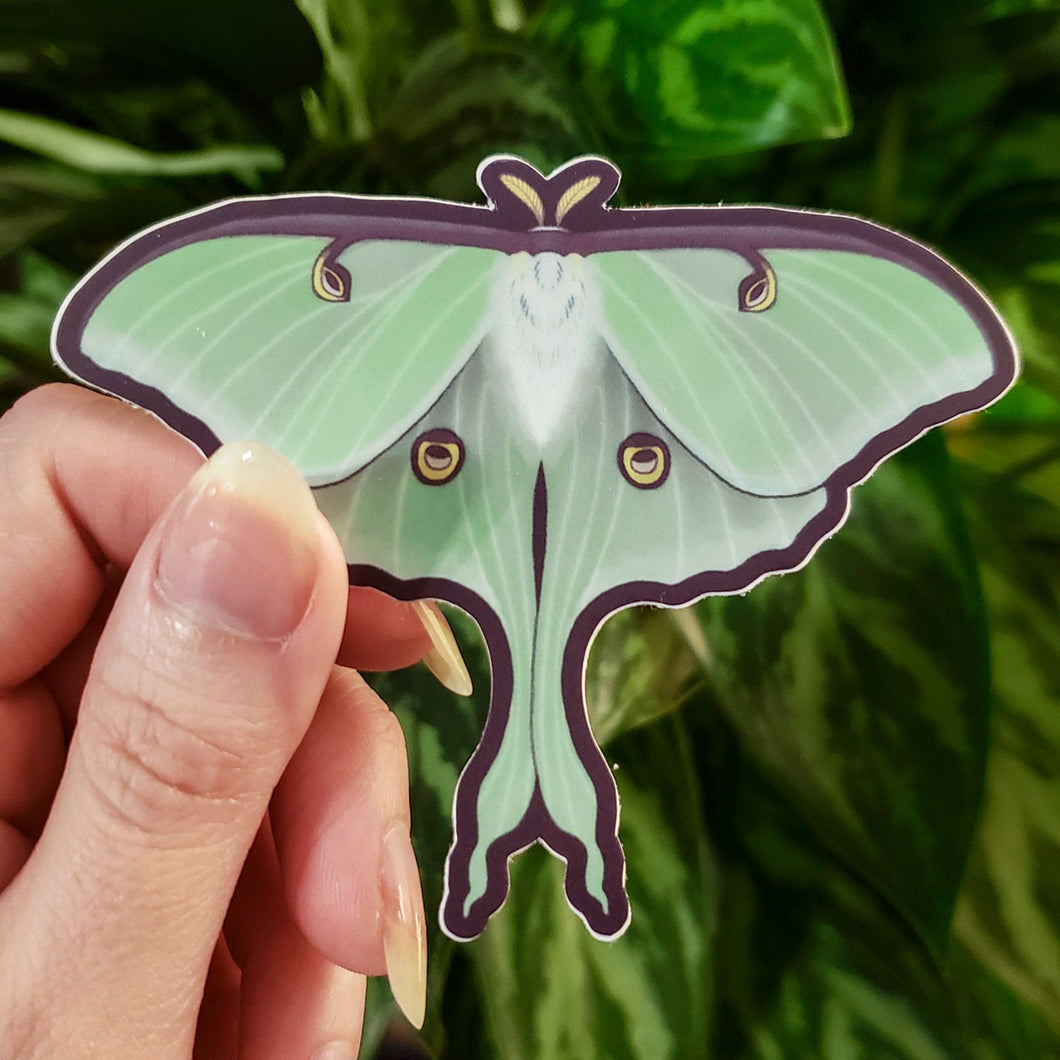 Luna Moth Sticker-TeaToucan